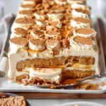 Biscoff Icebox Cake